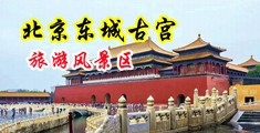 性感美女被大鸡巴抽插出水来中国北京-东城古宫旅游风景区